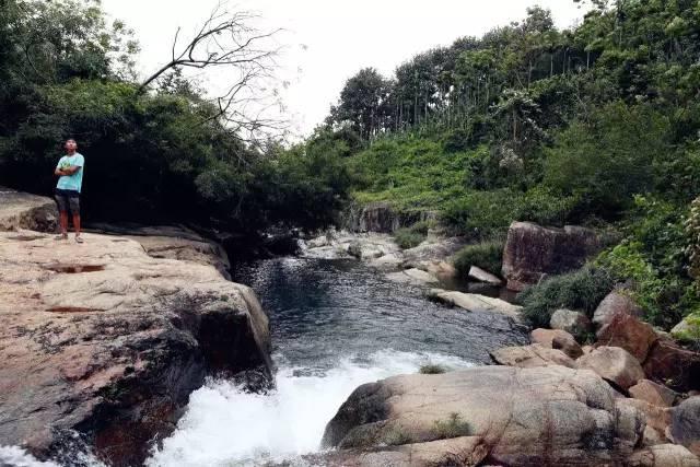 佛山 大型黑山石原石产地 黑山石草地装饰石 庭院黑山石假山石批发